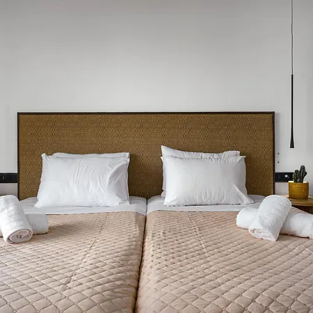 Papillon Αργάσι