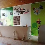 Papillon 3*